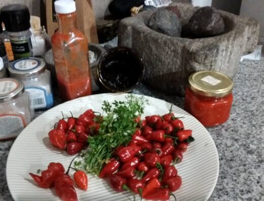 La gastronomía familiar de El Sol Abraza