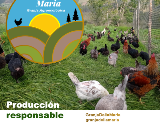 Donde comprar orgánico Donde comprar sano Busco agroecológico Busco orgánico.com