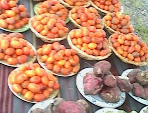 Donde comprar orgánico Donde comprar sano Busco agroecológico Busco orgánico